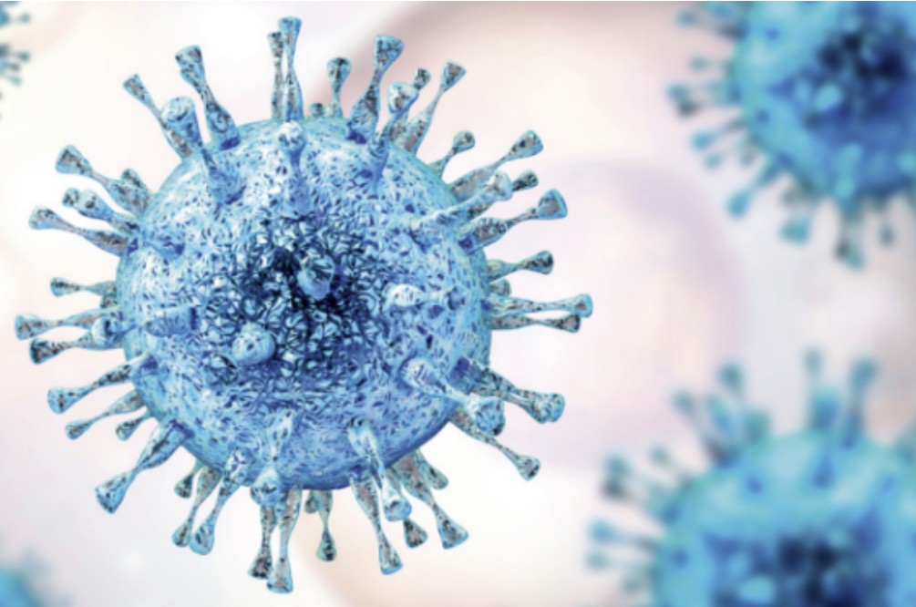 Dépistage systématique du cytomégalovirus (CMV) : en pratique